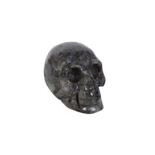 Black Labradorite  Crystal Skull